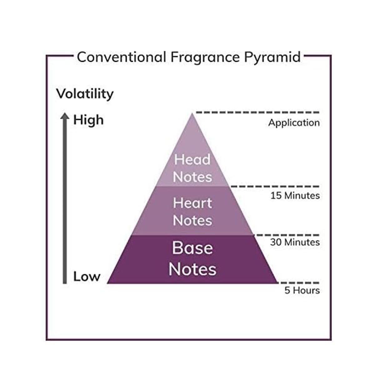 24 Gold The Fragrance Jack Bauer by Scent Story Eau De Toilette Spray 100 ml - Image 3