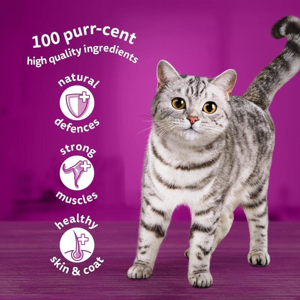 Whiskas 1+ Mixed Selection in Jelly 48 x 85 g Pouches, Adult Cat Food, Pack of 4 (12 x 85 g) - Image 3