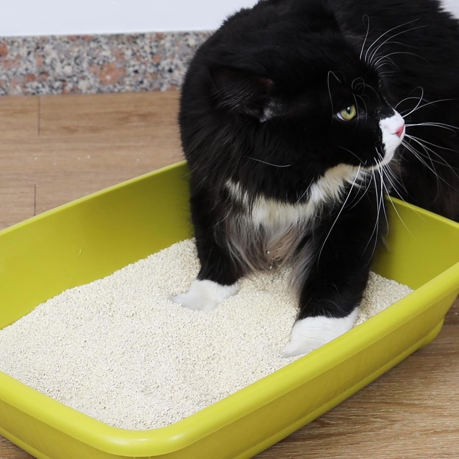 Croci Tofu Clean Litter 10L - Clumping Cat Litter, Biodegradable, - Image 5