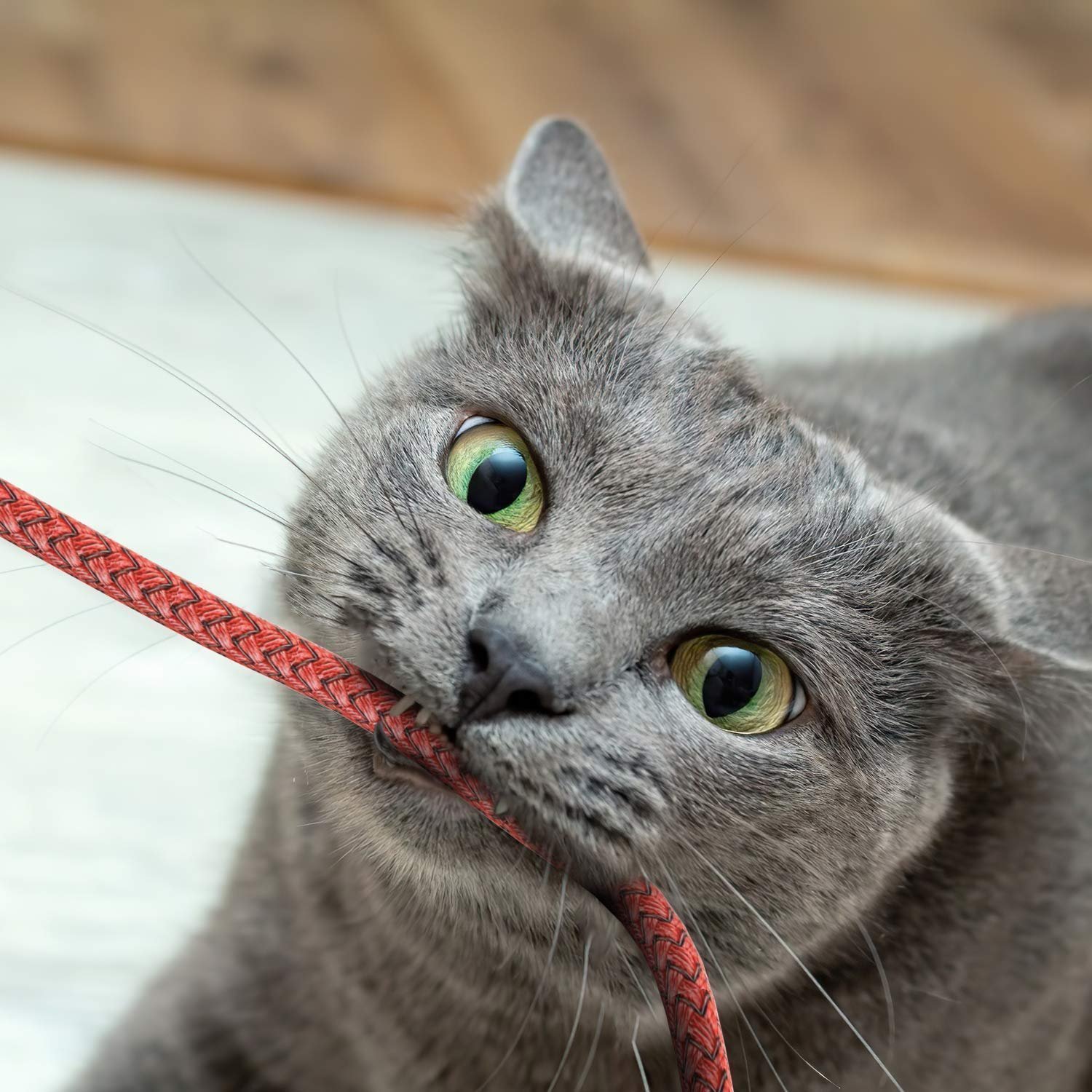 Ofuca iPhone Charger Cable, Lightning Cable 3Pack 6FT/1.8M iPhone Charger Braided Long iPhone USB Fast Charging Cable Compatible with iPhone 14/13/12/11/Pro/Xs Max/X/8/7/Plus/6S/6/SE/5S iPad and More - Image 4